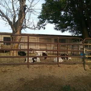 Meet your Posher, Kristal